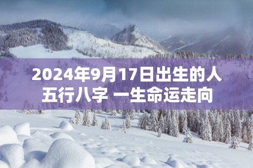 2025年9月17日出生的人五行八字 一生命运走向