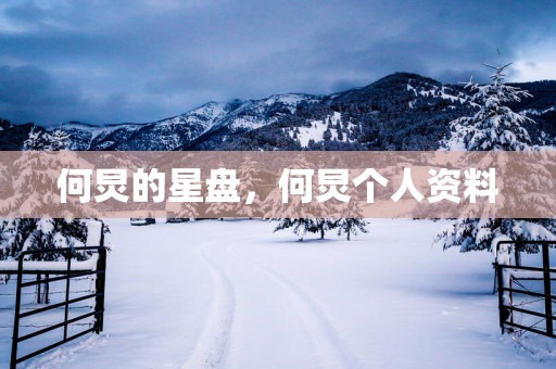 何炅的星盘，何炅个人资料