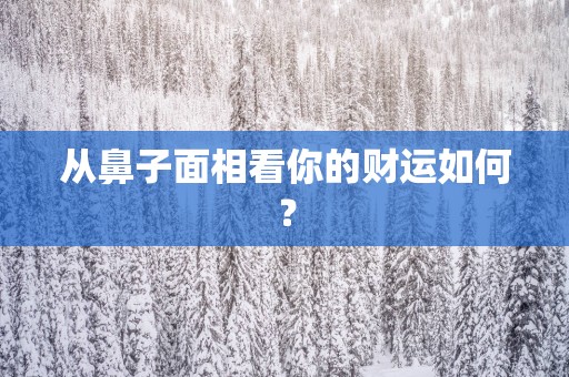 从鼻子面相看你的财运如何？