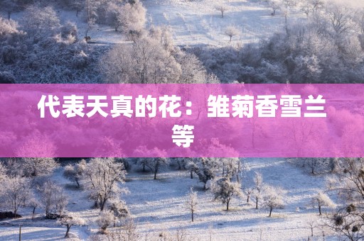代表天真的花：雏菊香雪兰等