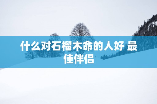 什么对石榴木命的人好 最佳伴侣