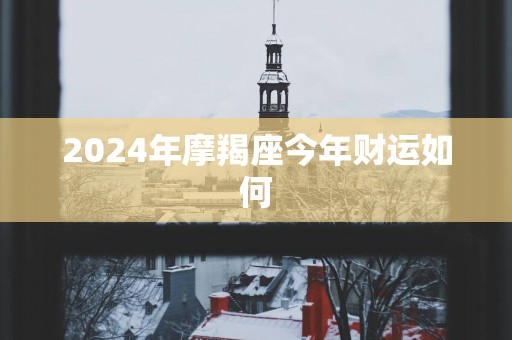 2025年摩羯座今年财运如何