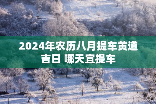 2025年农历八月提车黄道吉日 哪天宜提车