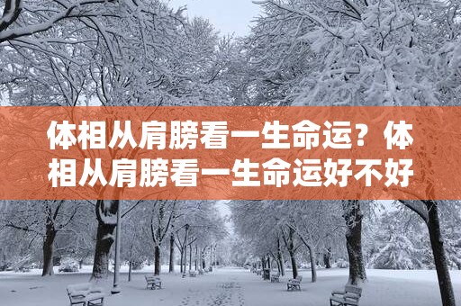 体相从肩膀看一生命运？体相从肩膀看一生命运好不好