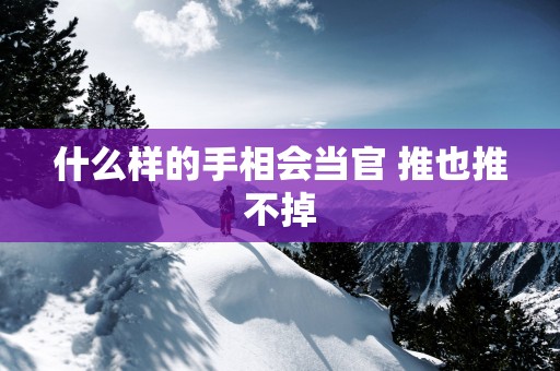 什么样的手相会当官 推也推不掉