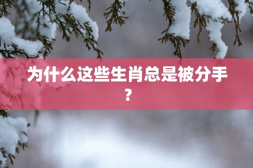 为什么这些生肖总是被分手？