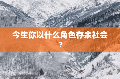 今生你以什么角色存余社会？