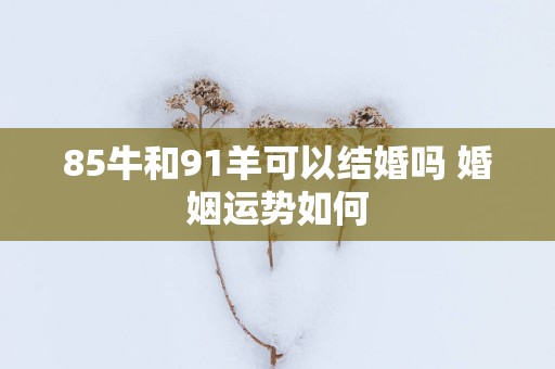 85牛和91羊可以结婚吗 婚姻运势如何