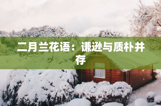 二月兰花语：谦逊与质朴并存