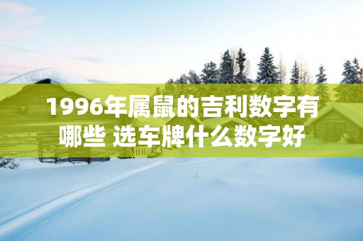 1996年属鼠的吉利数字有哪些 选车牌什么数字好