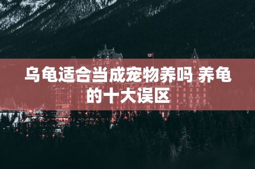 乌龟适合当成宠物养吗 养龟的十大误区