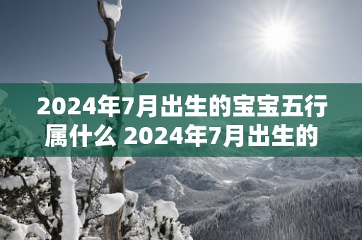 2025年7月出生的宝宝五行属什么 2025年7月出生的宝宝是什么命