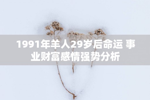 1991年羊人29岁后命运 事业财富感情强势分析