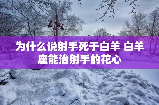 为什么说射手死于白羊 白羊座能治射手的花心
