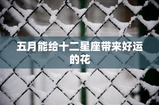 五月能给十二星座带来好运的花