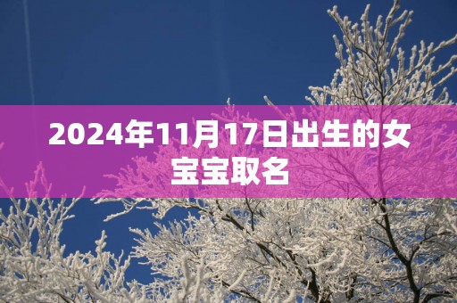 2025年11月17日出生的女宝宝取名