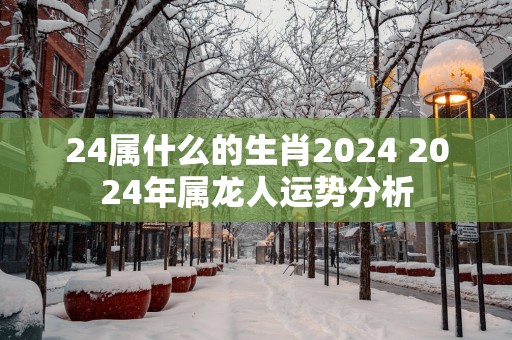 24属什么的生肖2024 2024年属龙人运势分析