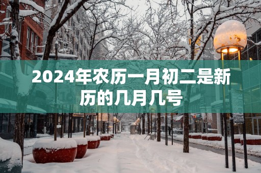 2025年农历一月初二是新历的几月几号