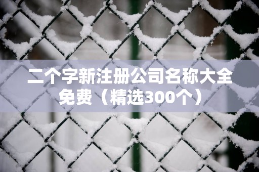 二个字新注册公司名称大全免费（精选300个）