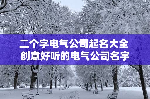 二个字电气公司起名大全 创意好听的电气公司名字