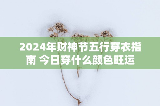 2025年财神节五行穿衣指南 今日穿什么颜色旺运
