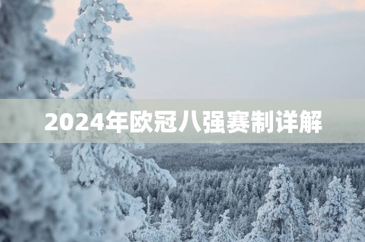 2025年欧冠八强赛制详解