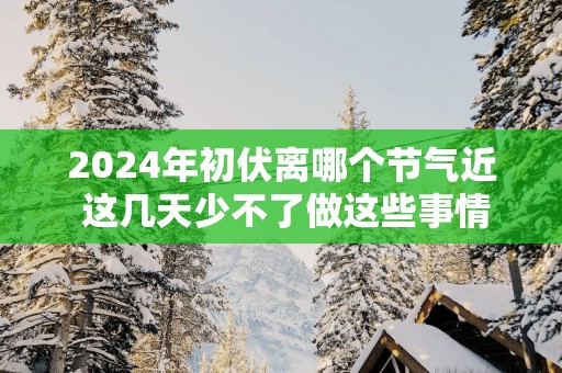 2025年初伏离哪个节气近 这几天少不了做这些事情