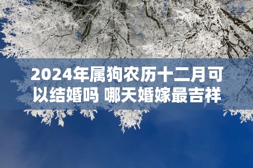 2025年属狗农历十二月可以结婚吗 哪天婚嫁最吉祥