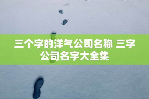 三个字的洋气公司名称 三字公司名字大全集