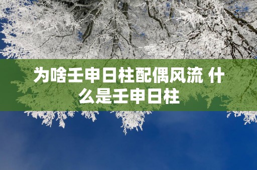 为啥壬申日柱配偶风流 什么是壬申日柱