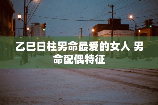 乙巳日柱男命最爱的女人 男命配偶特征
