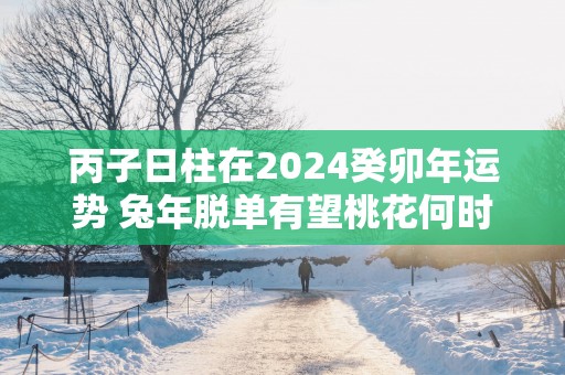 丙子日柱在2025癸卯年运势 蛇年脱单有望桃花何时来？