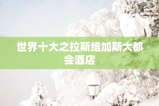 世界十大之拉斯维加斯大都会酒店