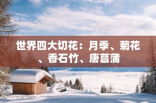 世界四大切花：月季、菊花、香石竹、唐菖蒲