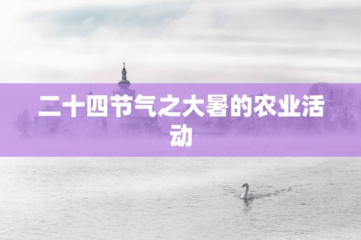 二十四节气之大暑的农业活动