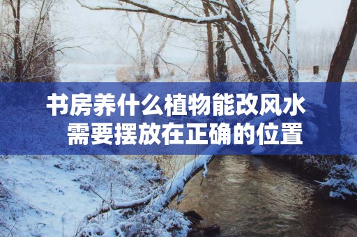 书房养什么植物能改风水   需要摆放在正确的位置