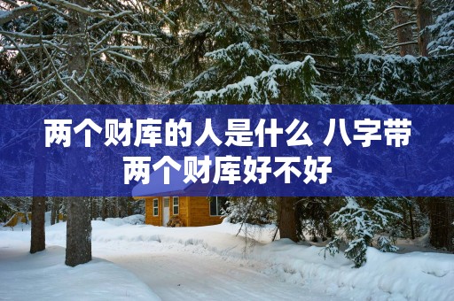 两个财库的人是什么 八字带两个财库好不好
