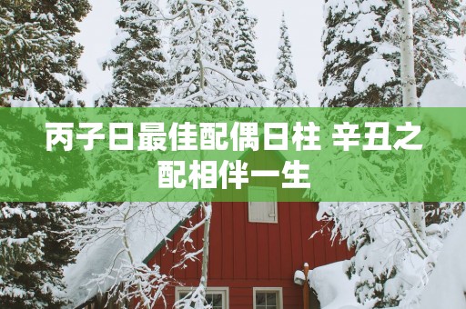 丙子日最佳配偶日柱 辛丑之配相伴一生