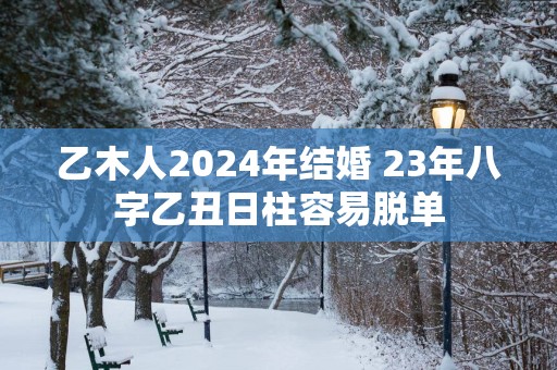 乙木人2025年结婚 23年八字乙丑日柱容易脱单