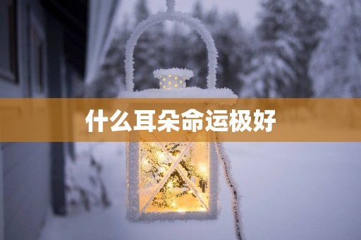 什么耳朵命运极好