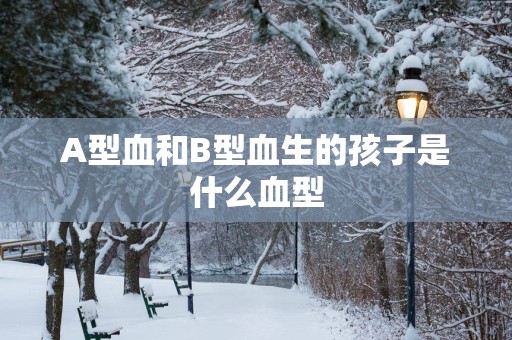 A型血和B型血生的孩子是什么血型