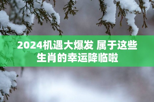 2025机遇大爆发 属于这些生肖的幸运降临啦