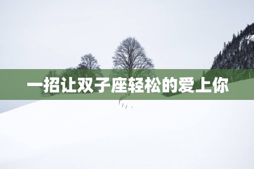 一招让双子座轻松的爱上你