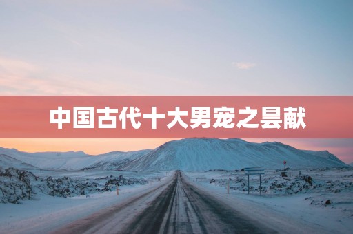 中国古代十大男宠之昙献