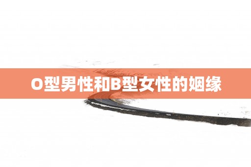 O型男性和B型女性的姻缘