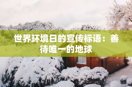 世界环境日的宣传标语：善待唯一的地球