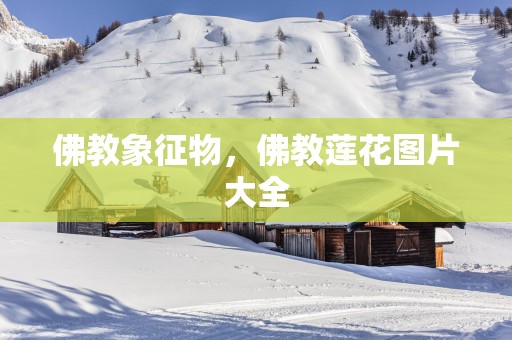 佛教象征物，佛教莲花图片大全