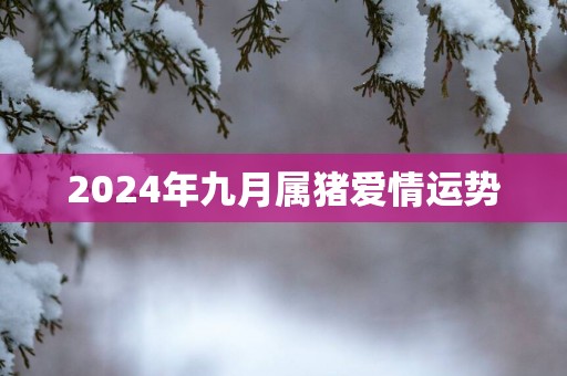 2025年九月属猪爱情运势