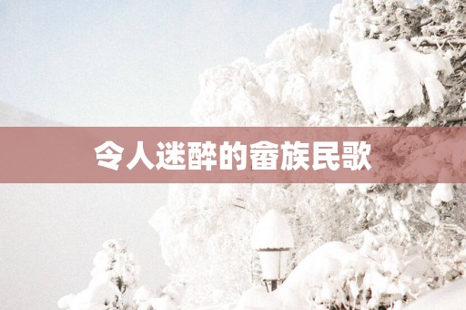 令人迷醉的畲族民歌