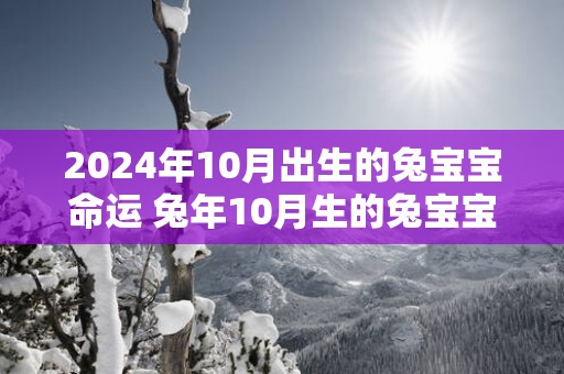 2025年10月出生的兔宝宝命运 蛇年10月生的兔宝宝性格命运